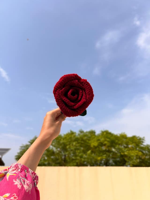 Wine Glass Rose