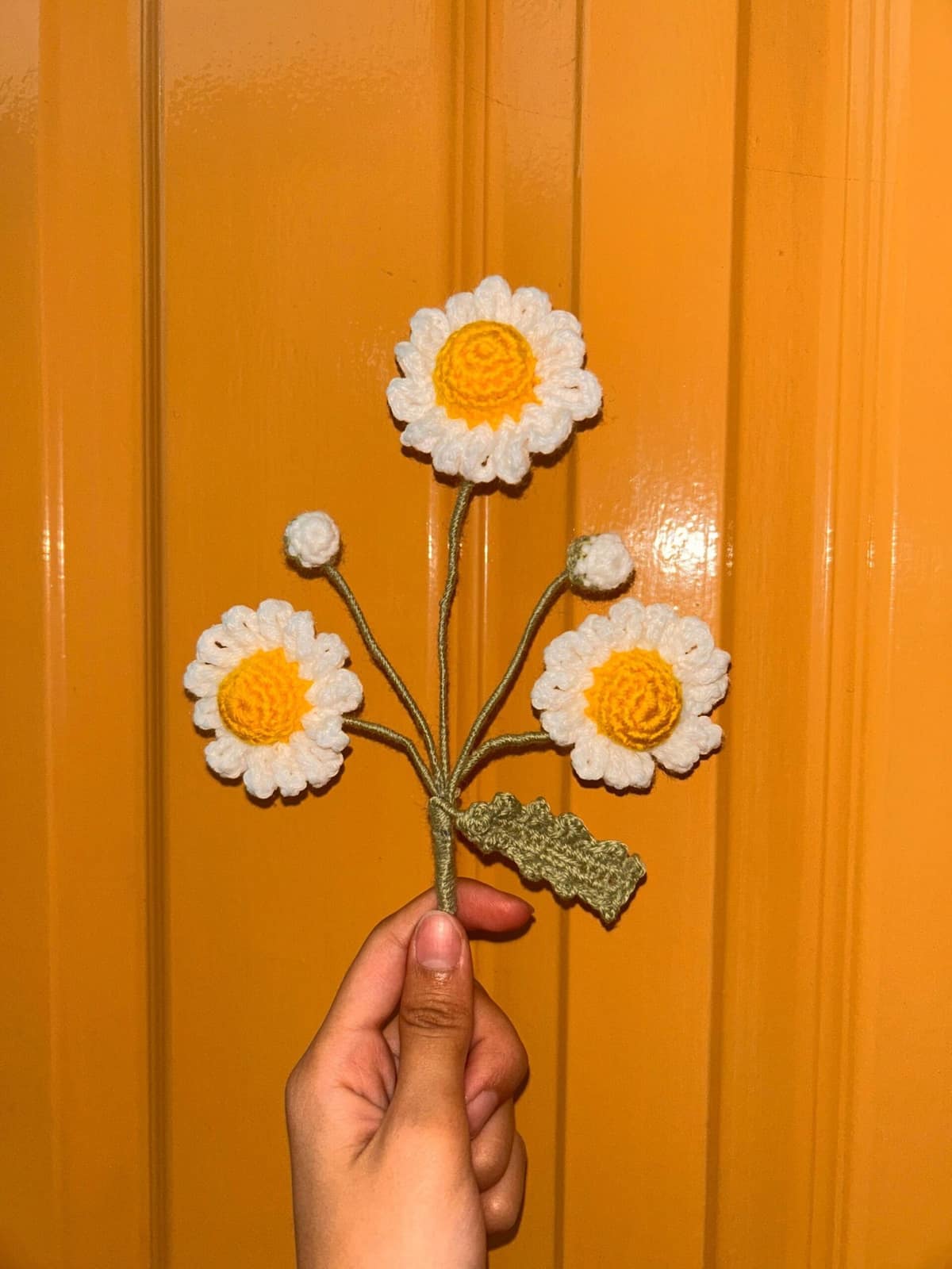 Daisy Flower