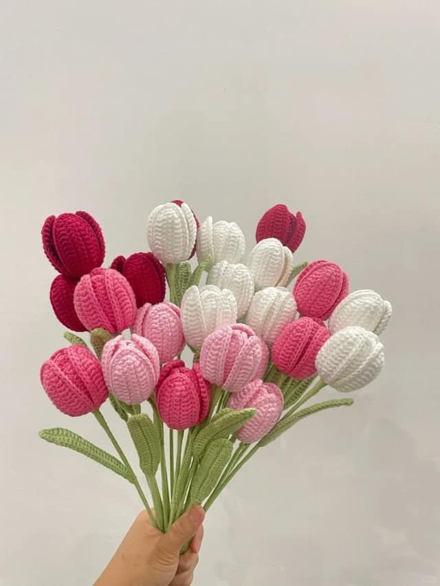 Open Petal Tulips
