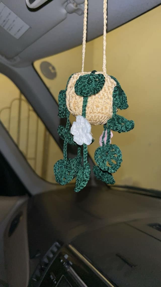 Hanging Potted Plant