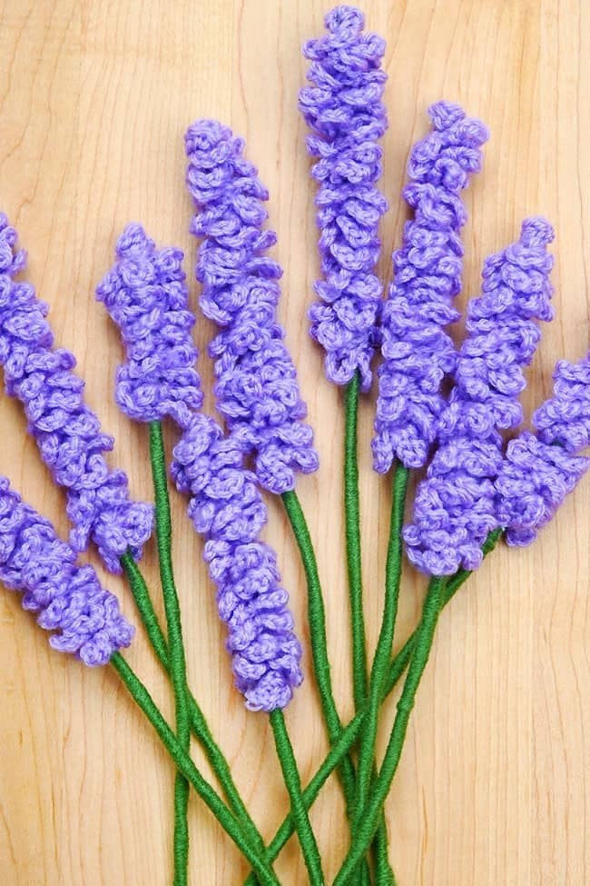 Lavender