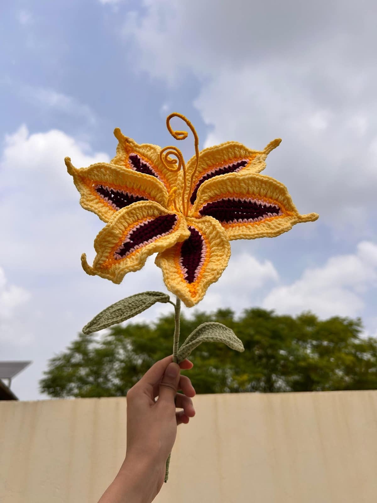 Sundrop Flower