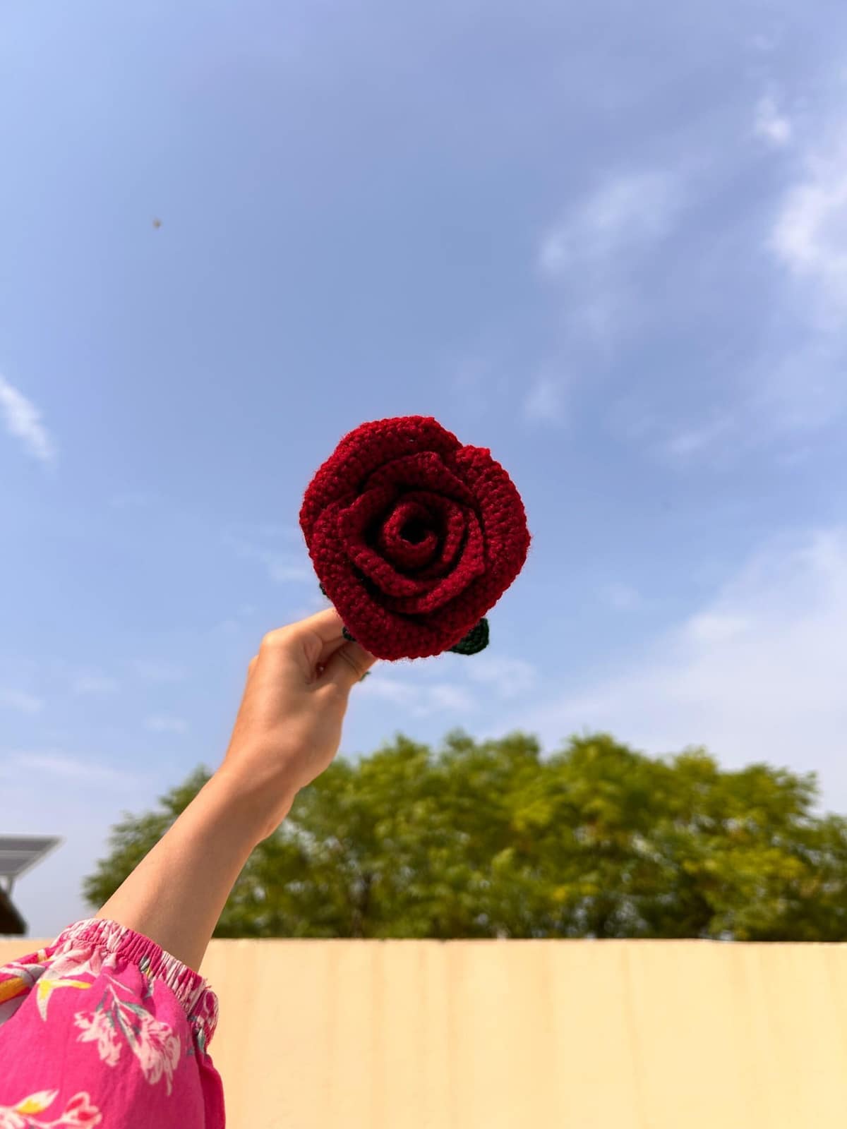 Wine Glass Rose