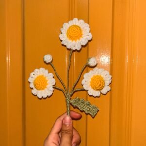 Crochet Daisy Flower
